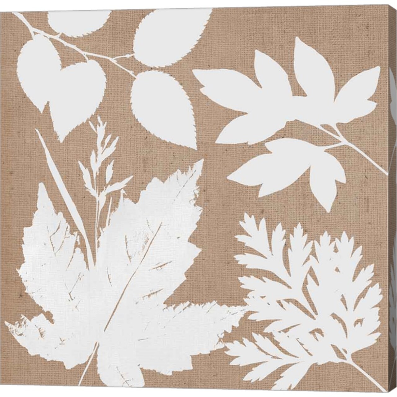 Leaves of Inspiration I Neutral by Studio Mousseau 12" x 12" Canvas Wall Art